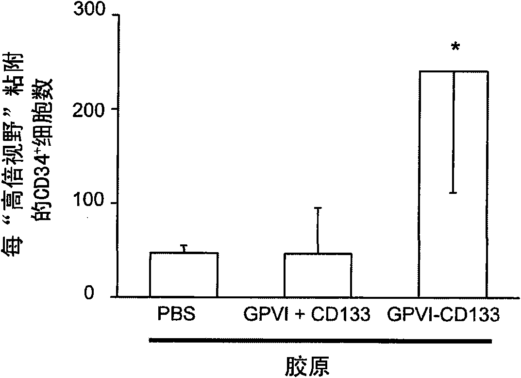 Bispecific fusion protein having therapeutic and diagnostic potential