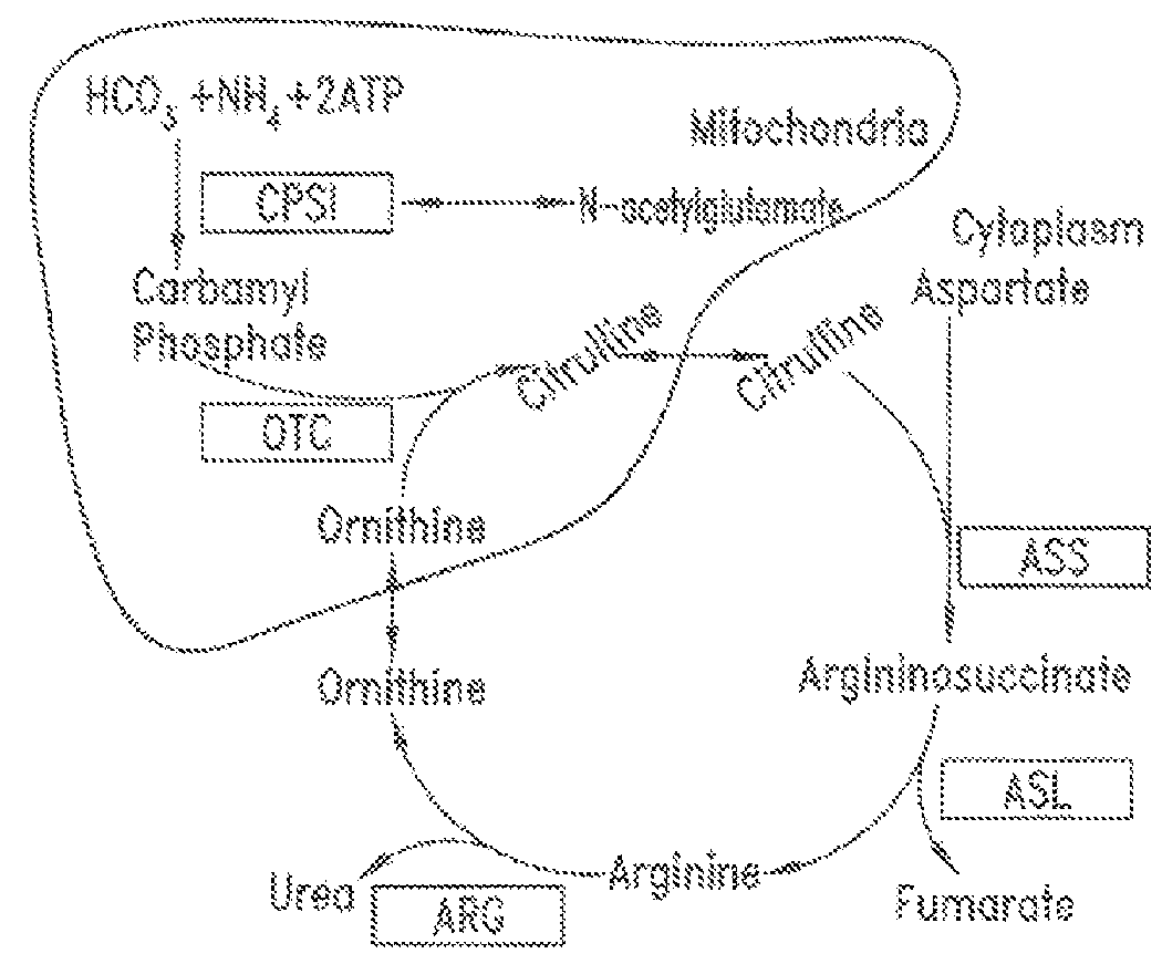 Methods of treatment with arginine deiminase