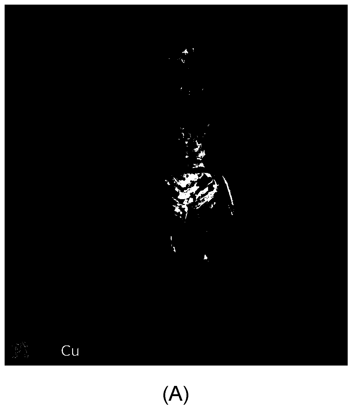 X-ray fluorescence spectrometer