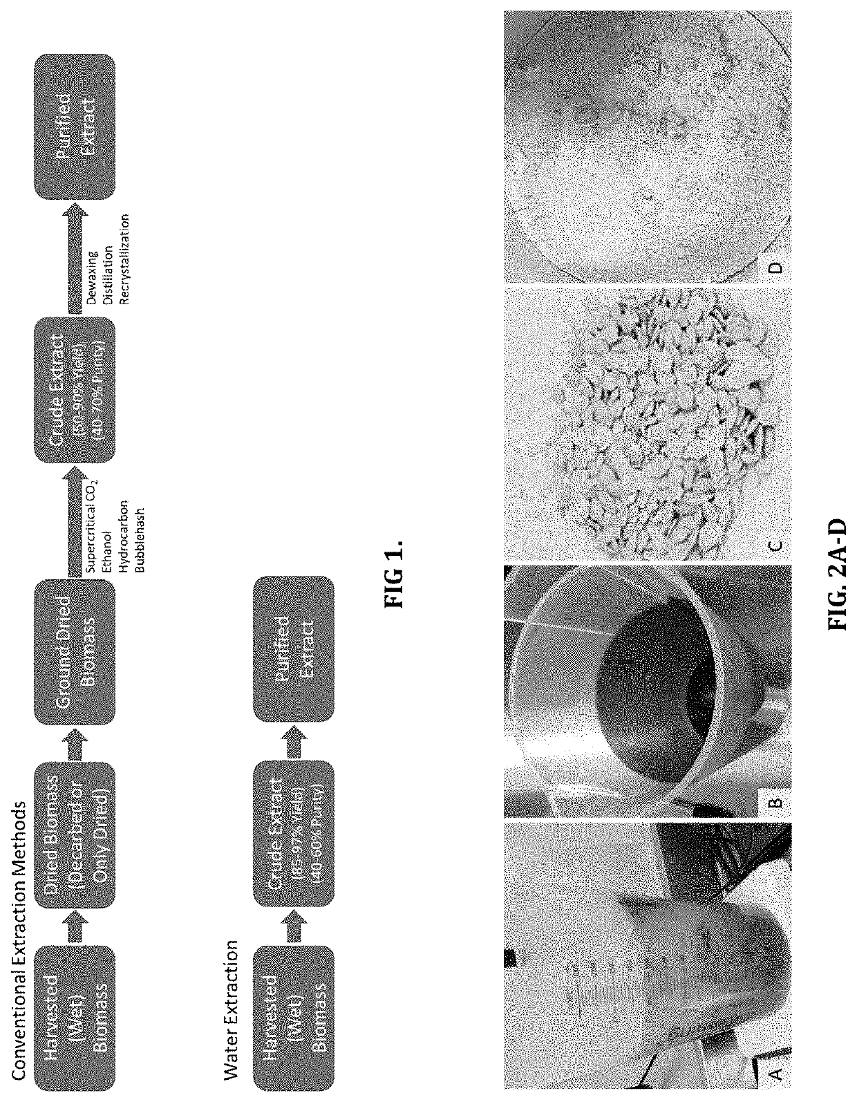 Water-based extraction and purification processes for cannabinoid acids