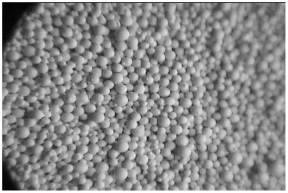 Preparation method of ultra-thin large-size LTCC (Low Temperature Co-Fired Ceramic) substrate