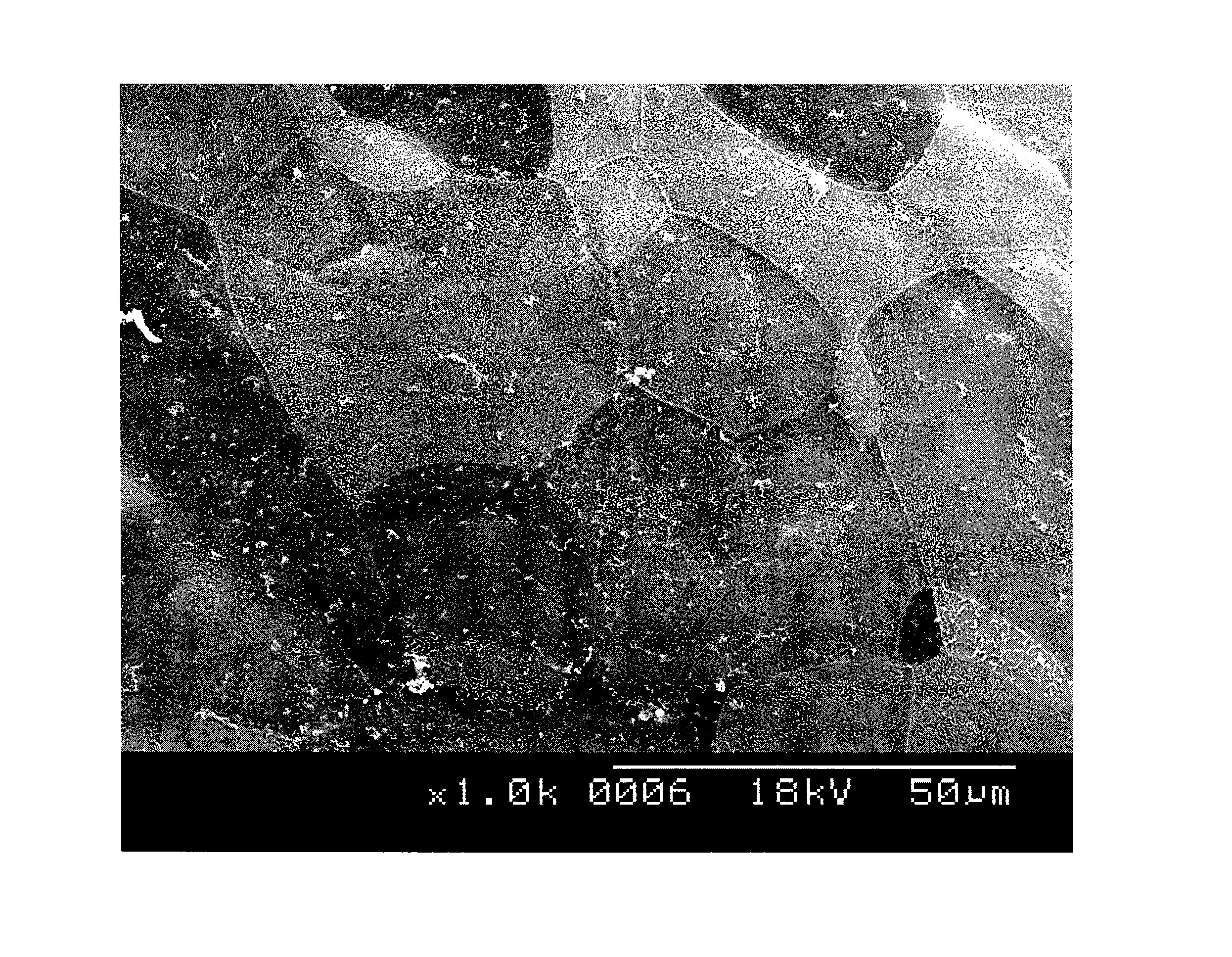 Method for expansion of human corneal endothelial cells