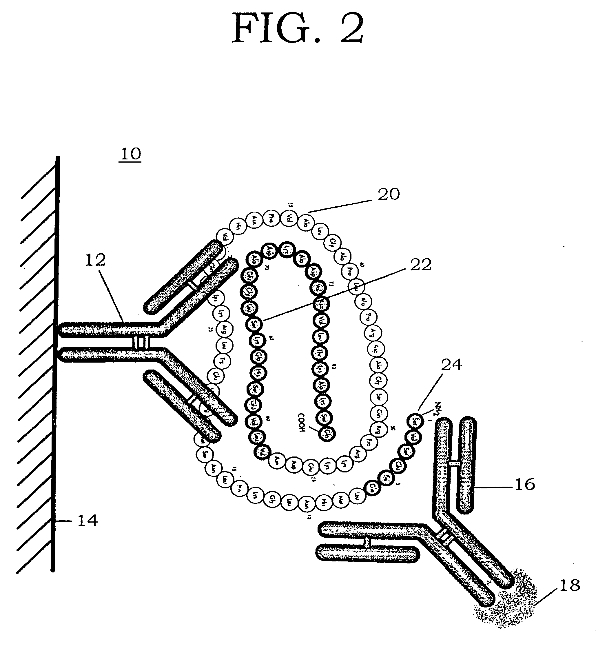 Methods for differentiating and monitoring parathyroid and bone status related diseases