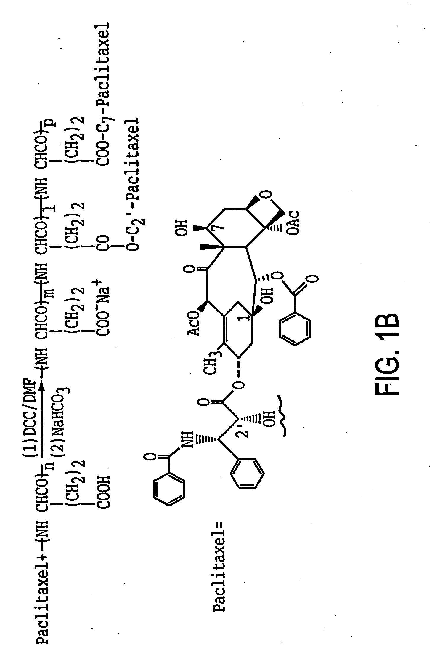 Water soluble paclitaxel derivatives