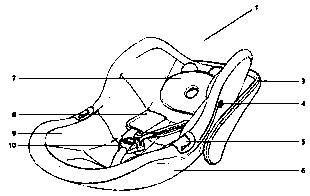 Ergonomic baby cradle