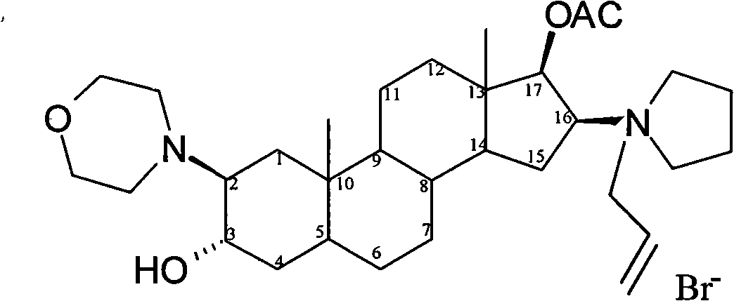Stable rocuronium bromide composition for injection