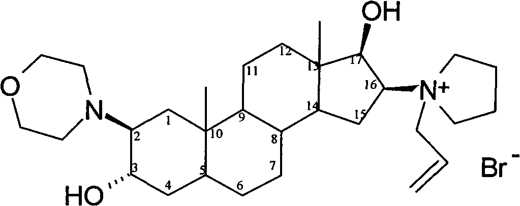 Stable rocuronium bromide composition for injection