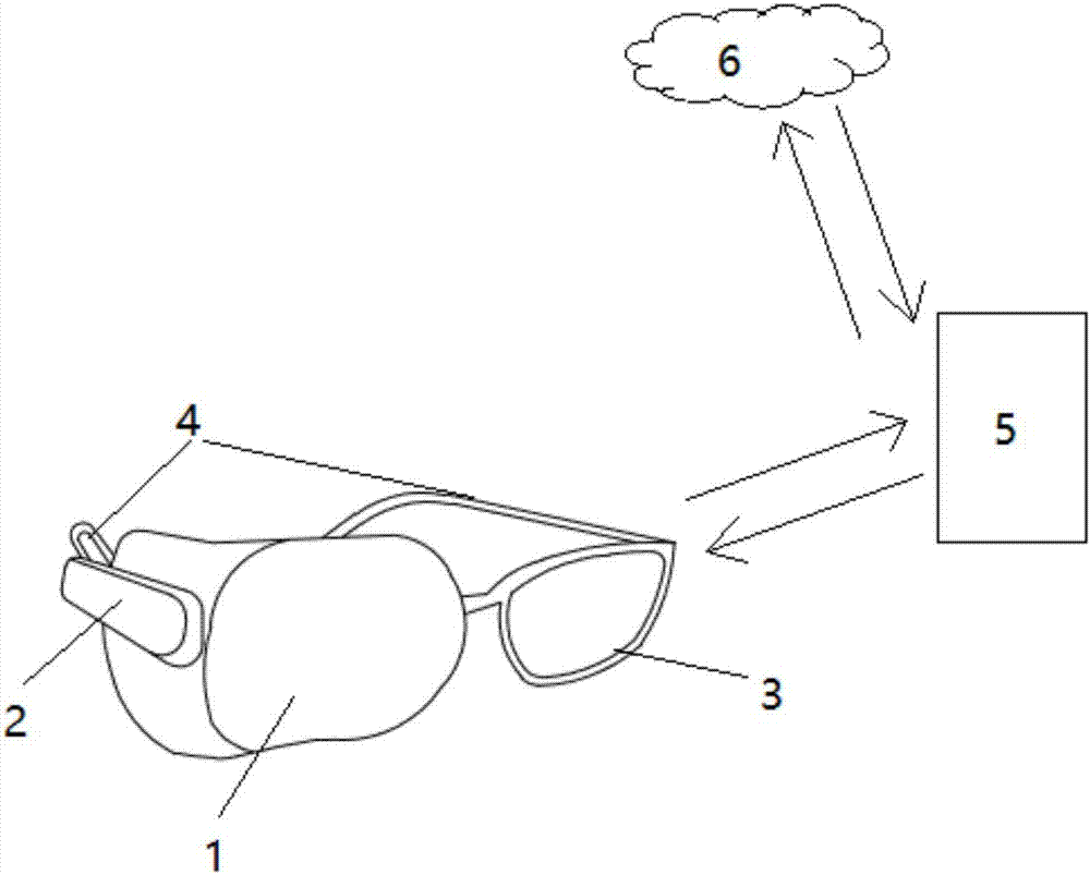Smart goggle and smart goggle system