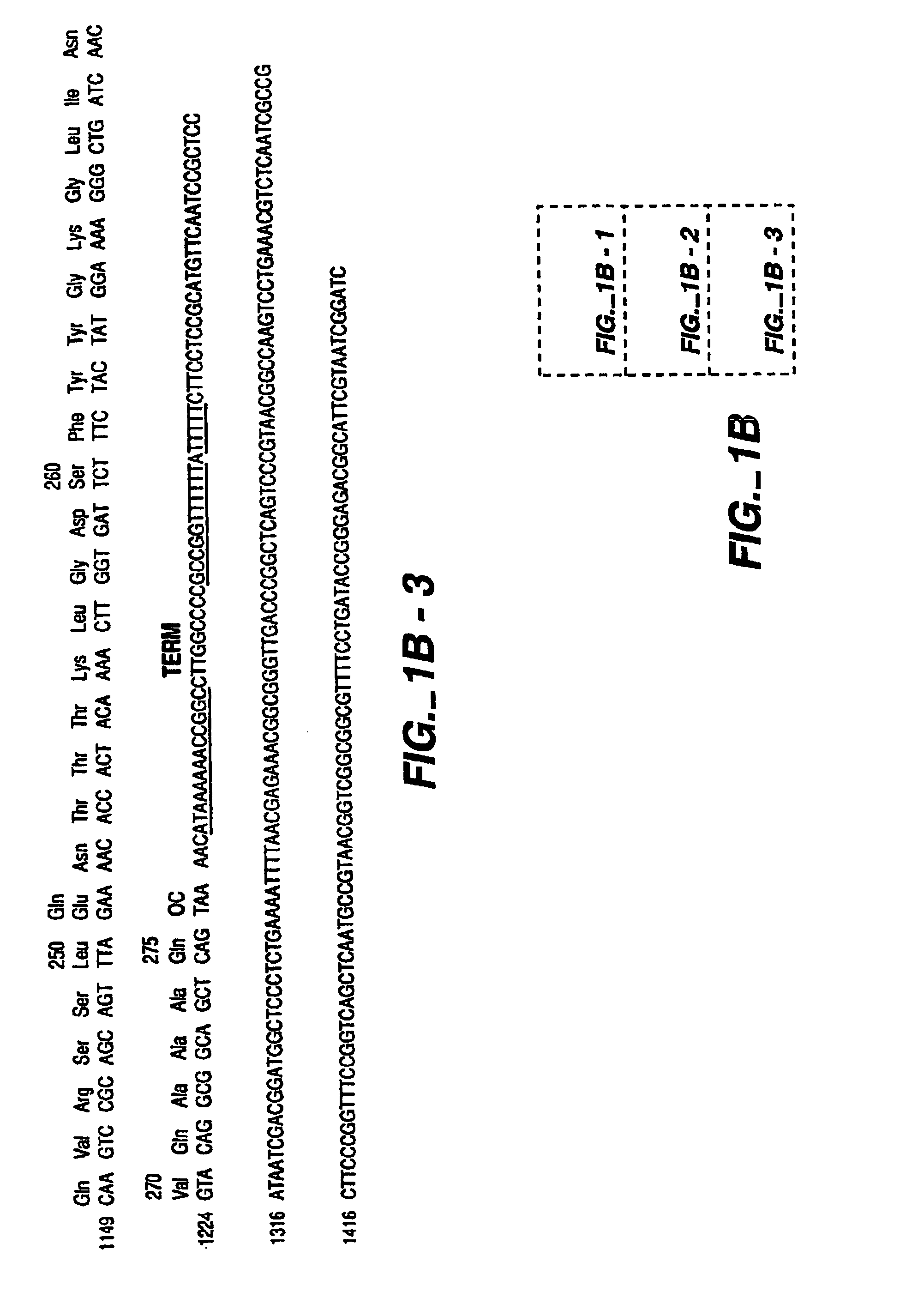 Protease producing an altered immunogenic response and methods of making and using the same