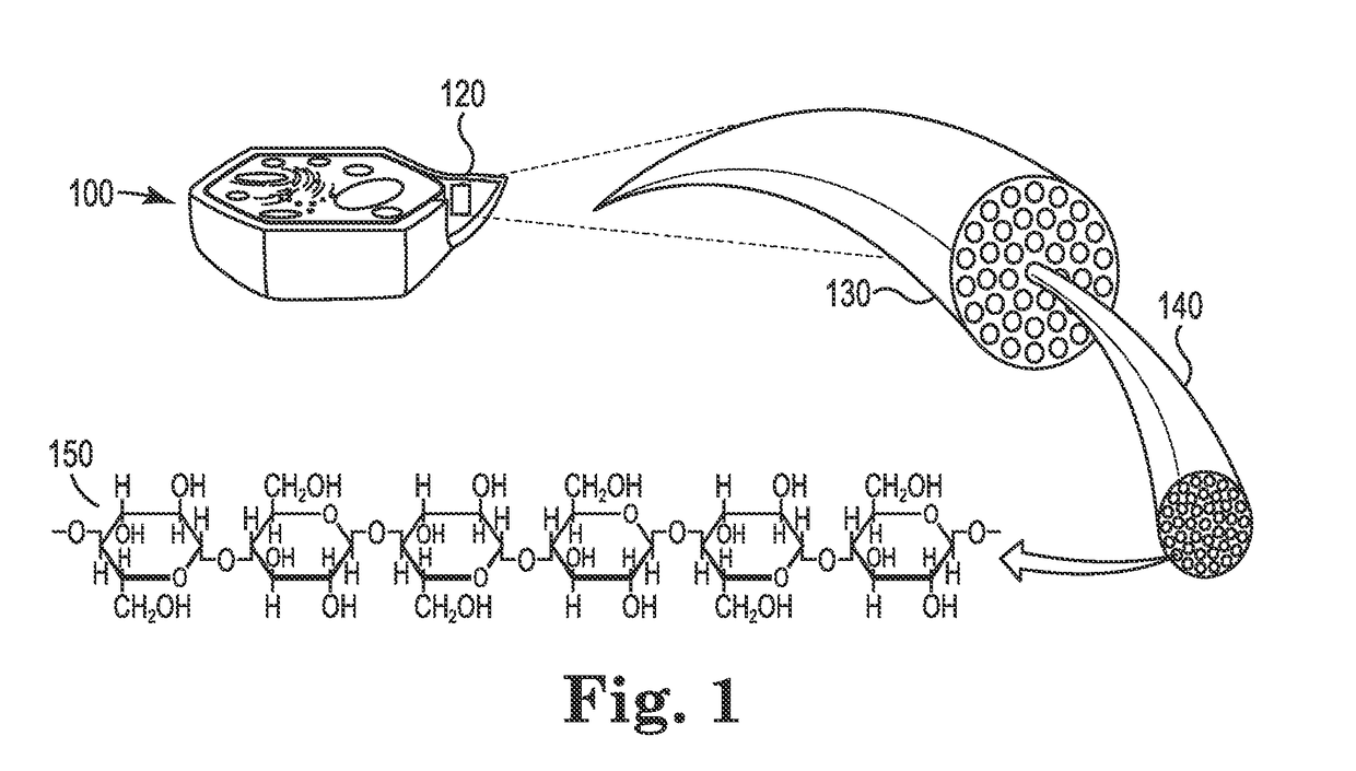 System for co-firing cleaned coal and beneficiated organic-carbon-containing feedstock in a coal combustion apparatus