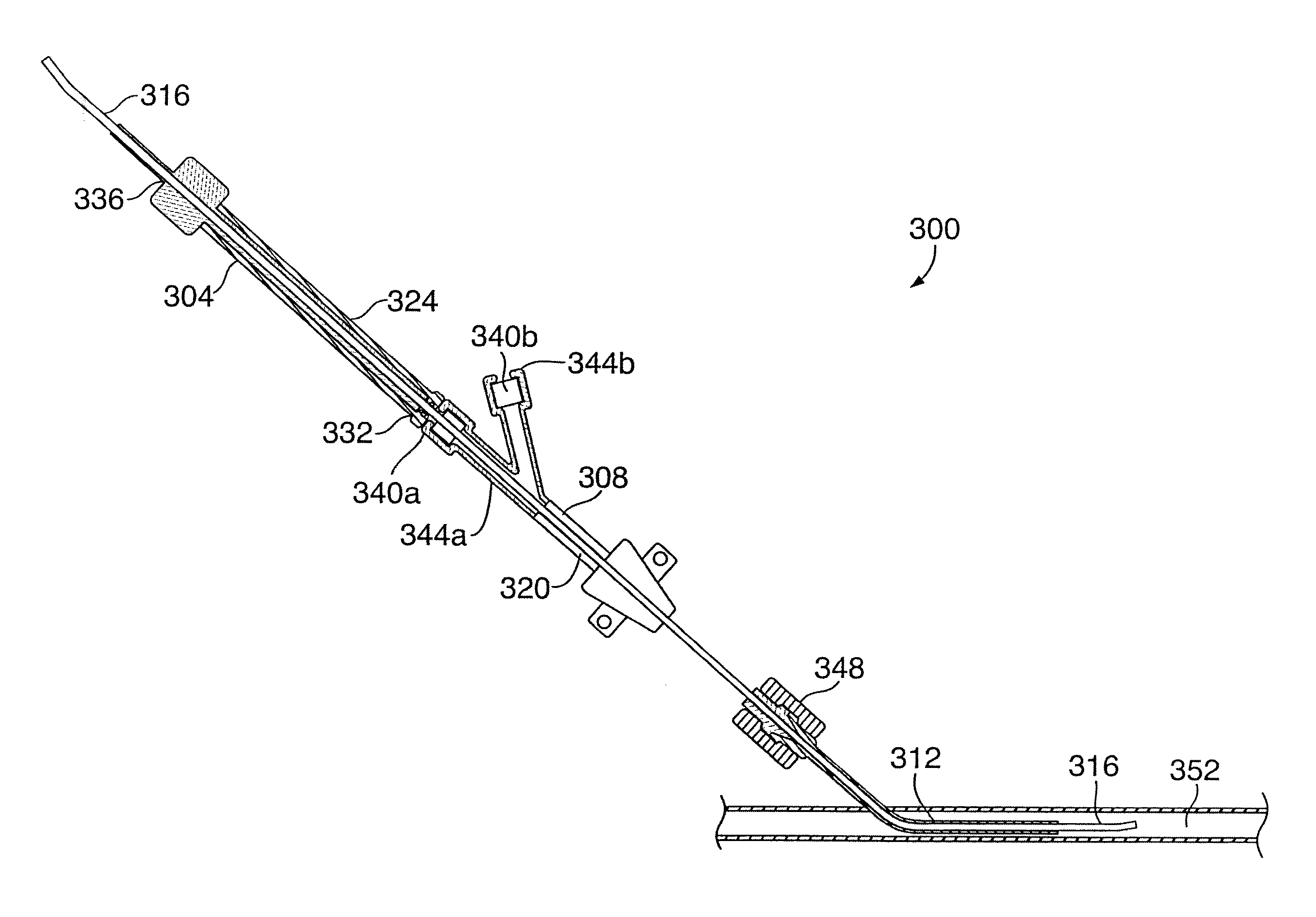 Renal function analysis method and apparatus