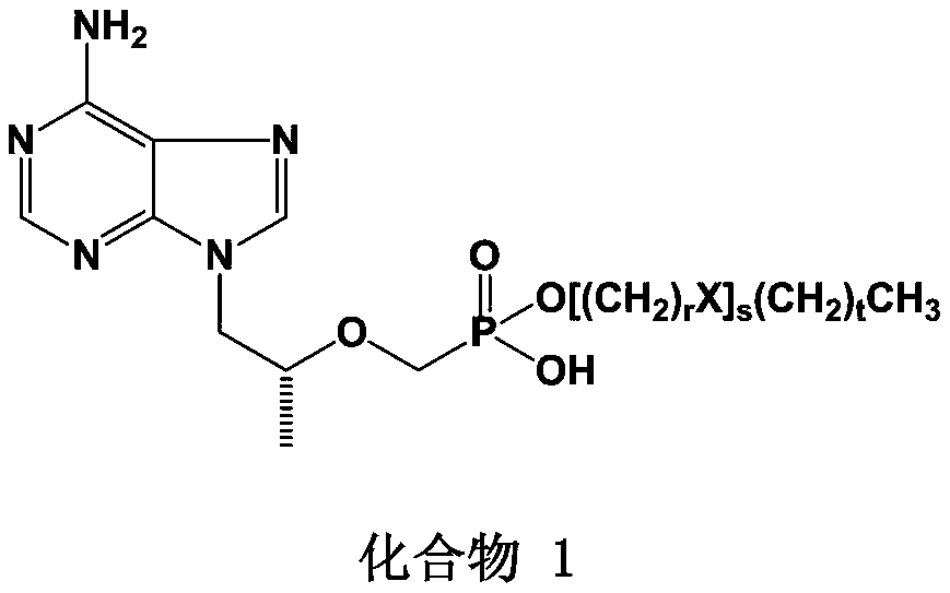 Tenofovir lipid monoester compound as well as preparation method and application thereof