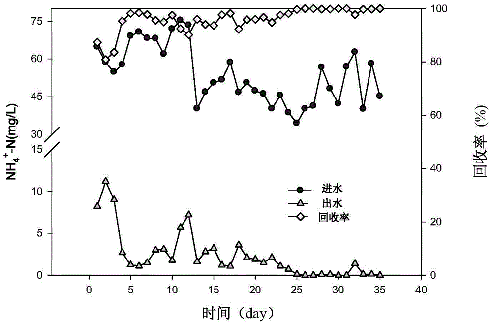 A method for treating sewage by using a biological fluidized bed