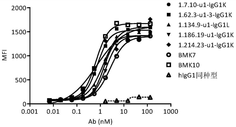 Fully human antibody against ox40 and its preparation method and use