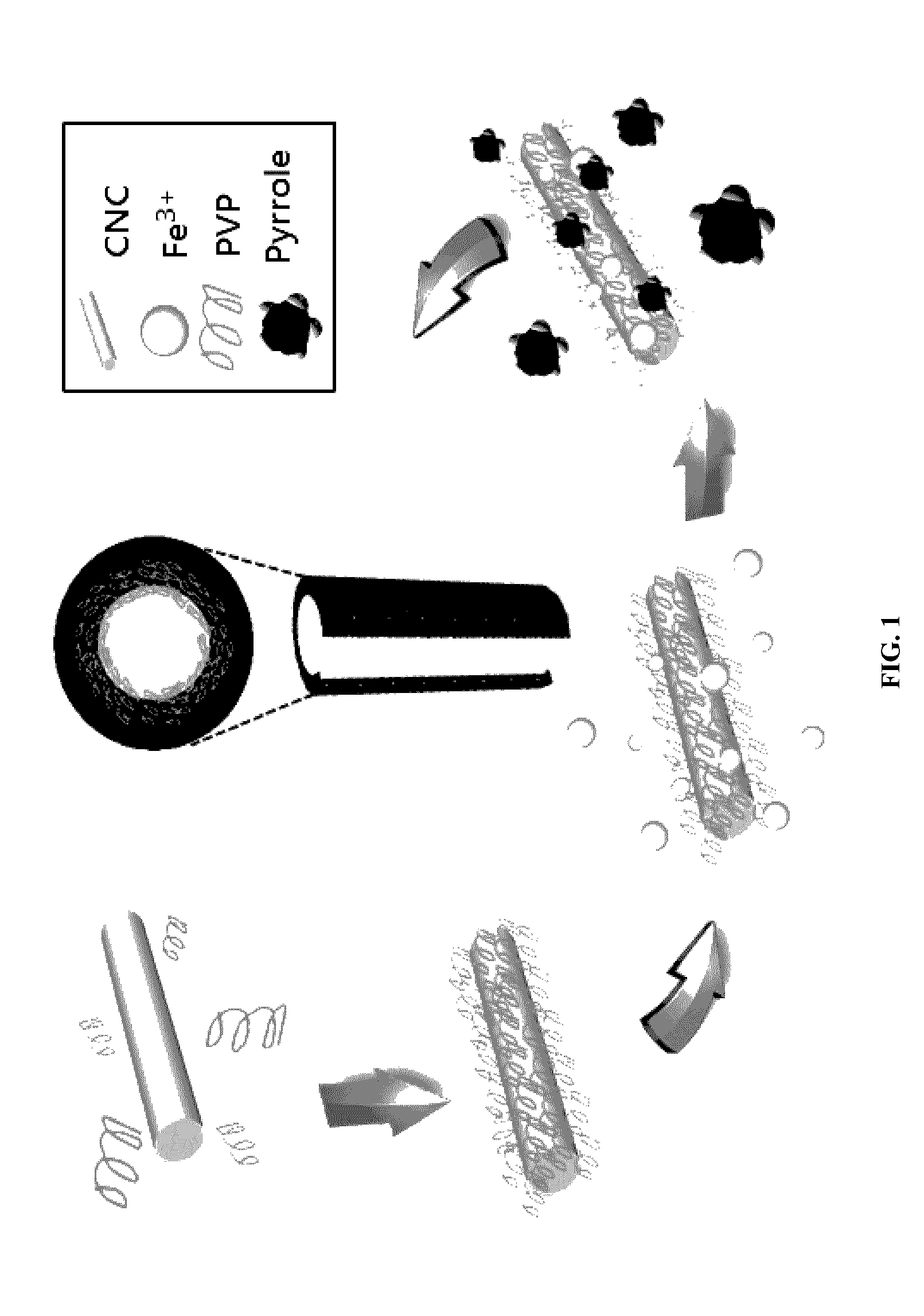 Conductive cellulose nanocrystals, method of producing same and uses thereof