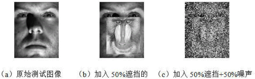 Sparse coding-based human face identification method