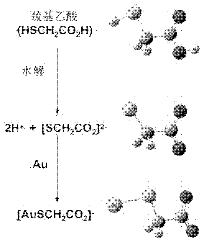 A kind of nano-gold solution and the method using this nano-gold solution to detect CO2+