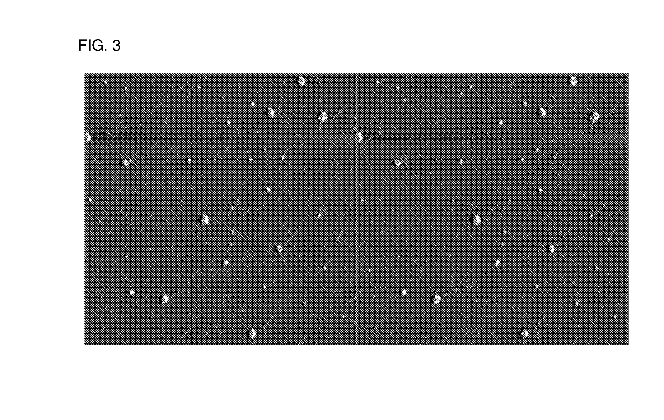 Outer membrane vesicles and uses thereof