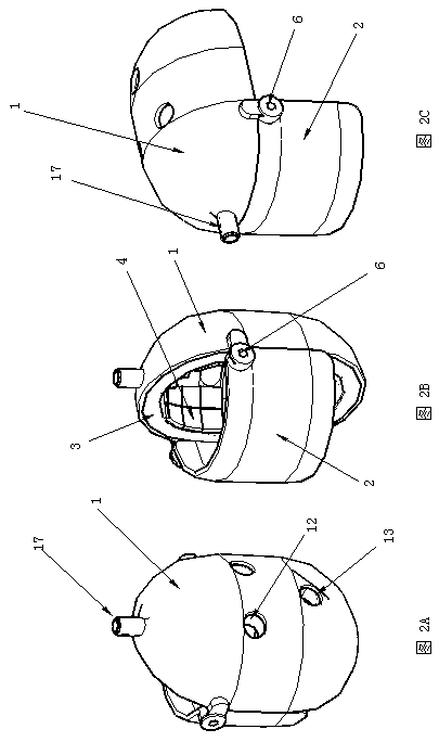 automatic face massager