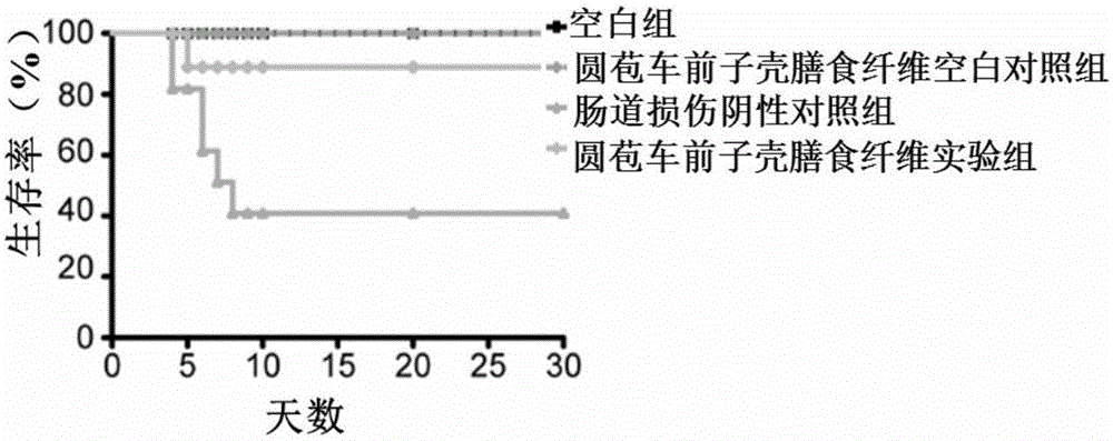 Application of psyllium husk dietary fiber in preparation of intestinal injury protection preparation