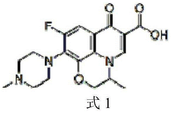 Method for separating ofloxacin enantiomer