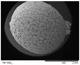 A method for promoting aerobic sludge granulation by mycelium balls
