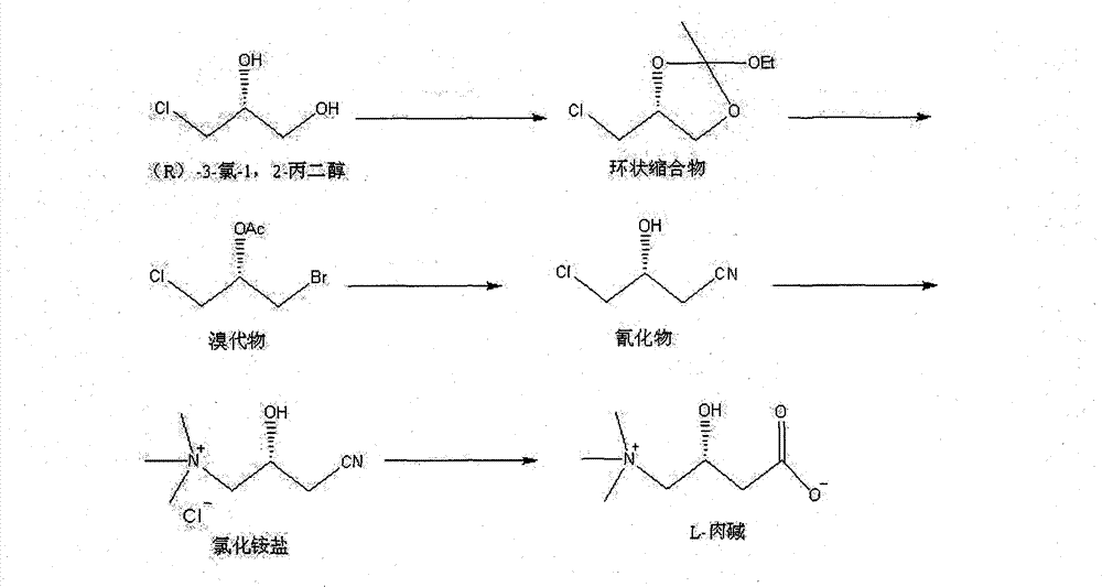 Method for synthesizing L-carnitine by using (R)-(-)-3-chlorine-1,2-propylene glycol as chiral initiative raw material