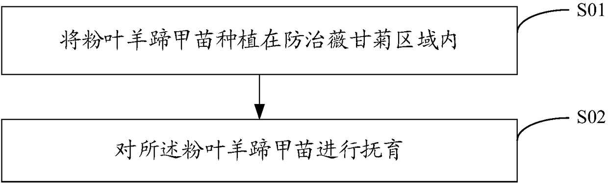 Ecological control method of Mikania micrantha