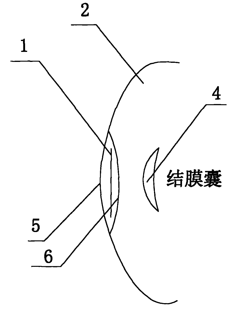 Iris rotating artificial eye and manufacturing method thereof