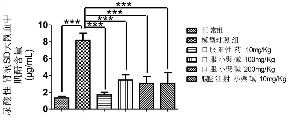 Application of berberine, coptisine or its active metabolites, and salts thereof in drugs for preventing and/or treating uric acid nephropathy