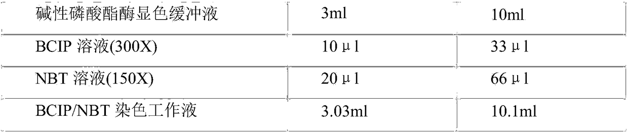 Method for producing mesenchymal stem cells through induction of human pluripotent stem cells (hPSC)