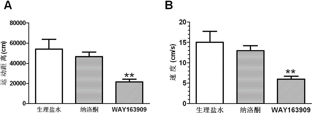 Novel application of high-selectivity 5-hydroxytryptamine 5-HT2C receptor agonist WAY163909
