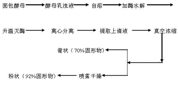 Preparation method of high-nitrogen fresh yeast and extract
