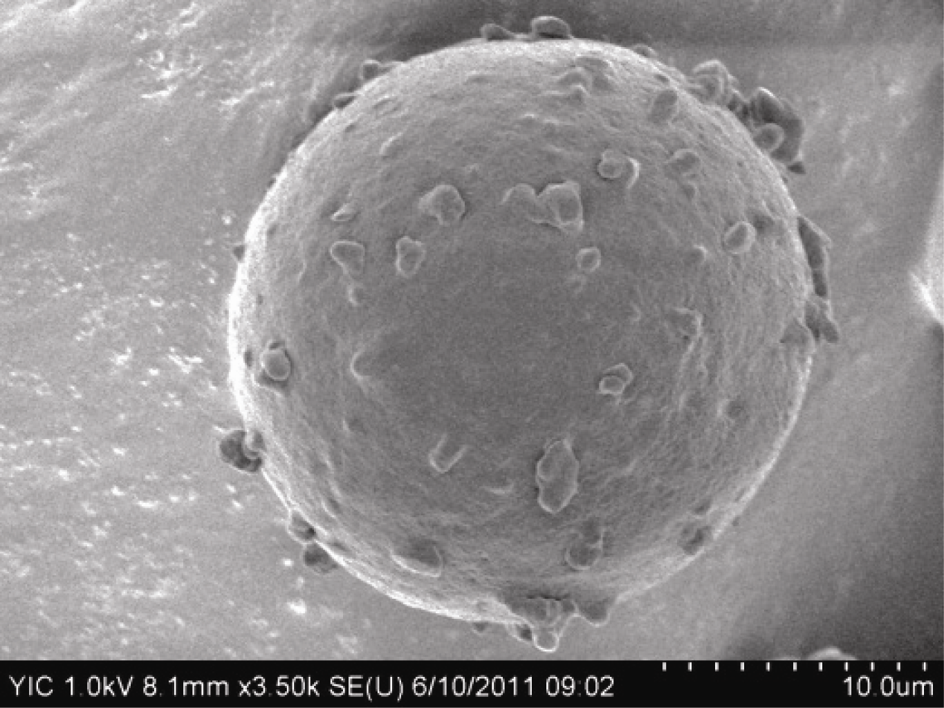 Preparation method of antibacterial Chinese mugwort oil microcapsules