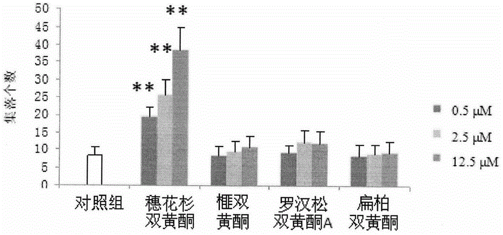 Application of amentoflavone to preparation of medicine for treating thrombocytopenia