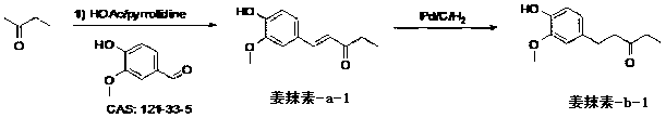 Synthesis process of gingerol derivative