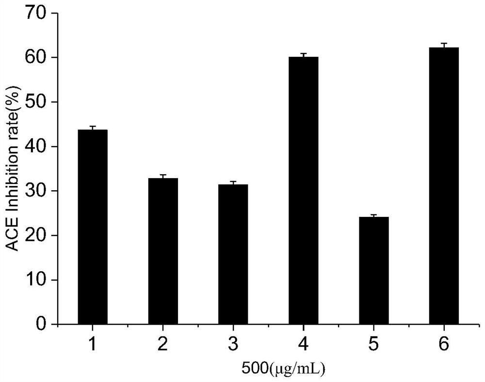 Polypeptide with antioxidant and ACE (angiotensin converting enzyme) inhibition functions as well as preparation method and application of polypeptide