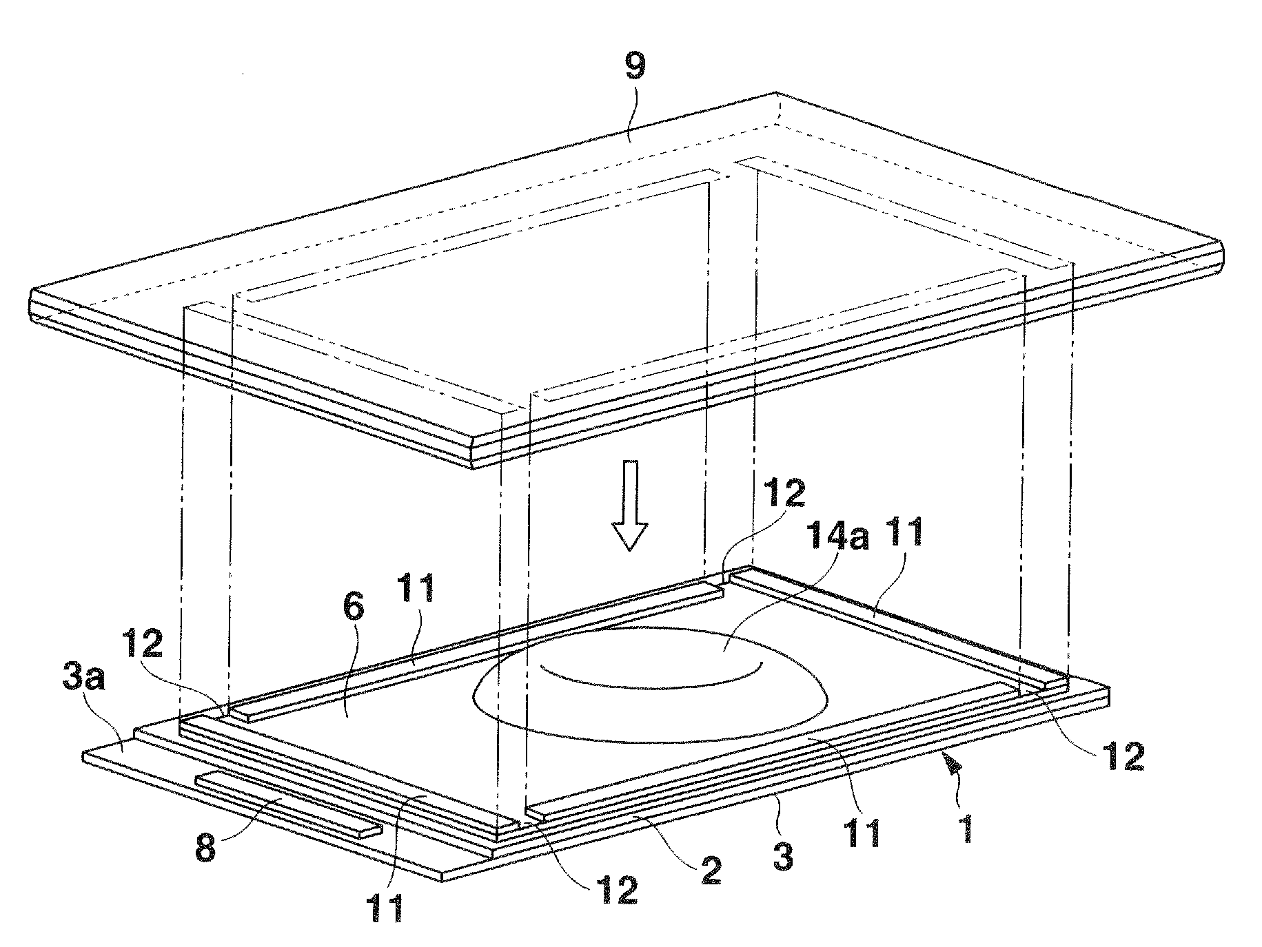 Display device integral with protection plate, and display apparatus using the same