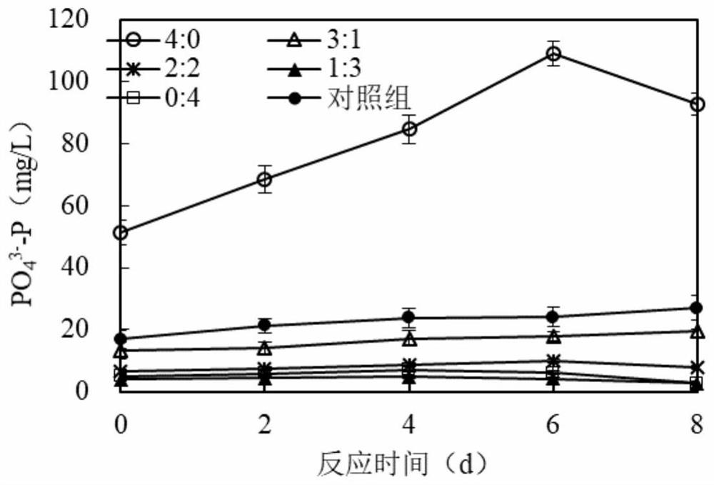 A method for simultaneous removal of nitrogen and phosphorus produced during sludge fermentation