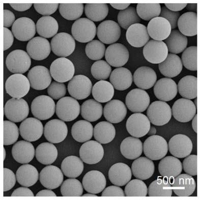 GSP film material for solar photo-thermal steam conversion and preparation method thereof