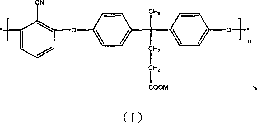 Carboxylic side group containing high performance polyaryl ether copolymer and its preparation