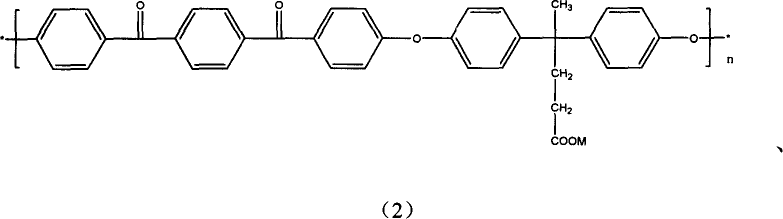 Carboxylic side group containing high performance polyaryl ether copolymer and its preparation