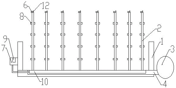 Multifunctional test tube rack