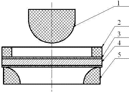 Manufacturing method for titanium and titanium alloy products by coating and forming