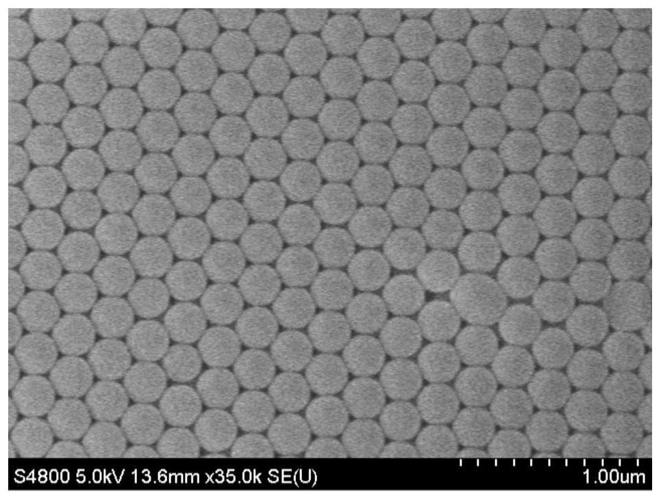 Anti-protein structure catalyst particle for catalytic oxidation of methane and preparation method of anti-protein structure catalyst particle