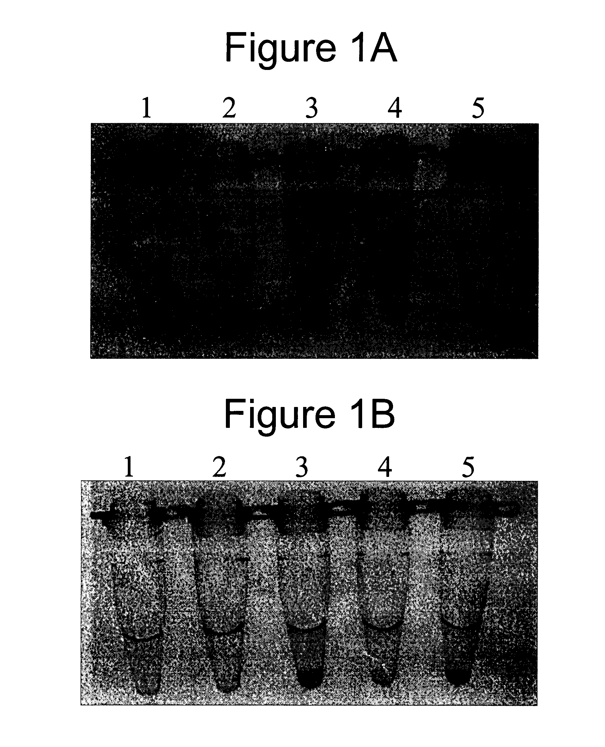 Methods, Kits and Compositions for the Identification of Nucleic Acids Electrostatically Bound to Matrices