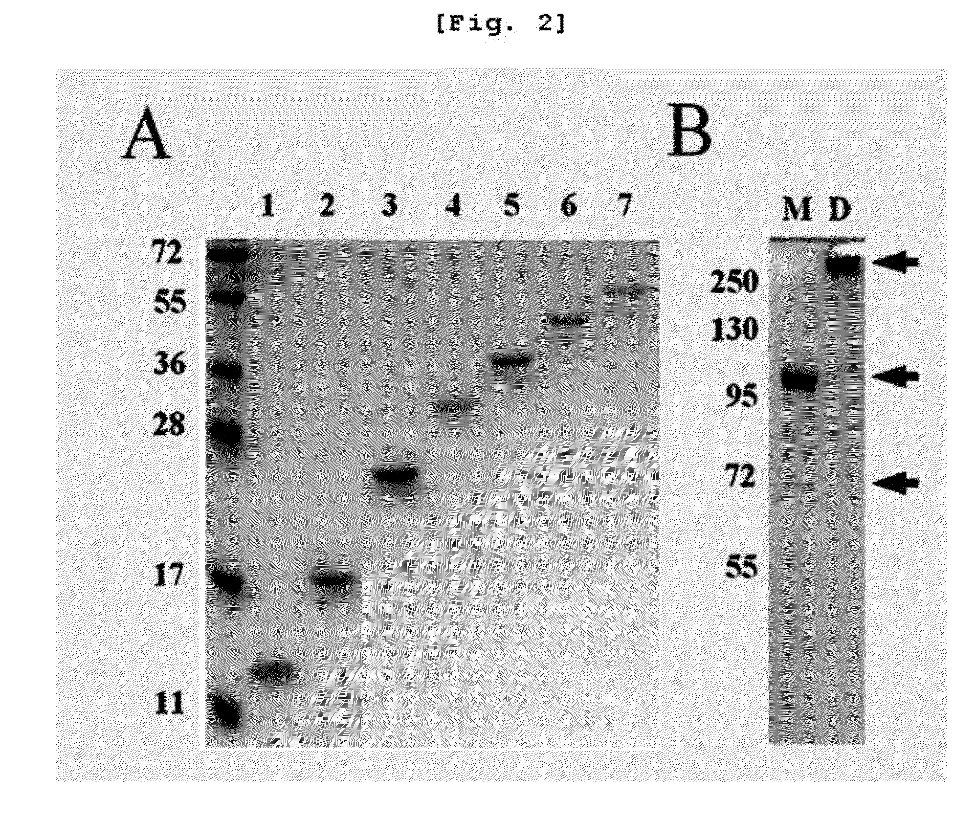 Method for manufacturing dimers and multimers by increasing the production of bond bridges in a complex of multiple monomers and repeating chains of an adherend of a type specifically adhering to monomers