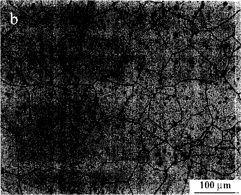 Process for preparing metallographic lead sample and displaying structure