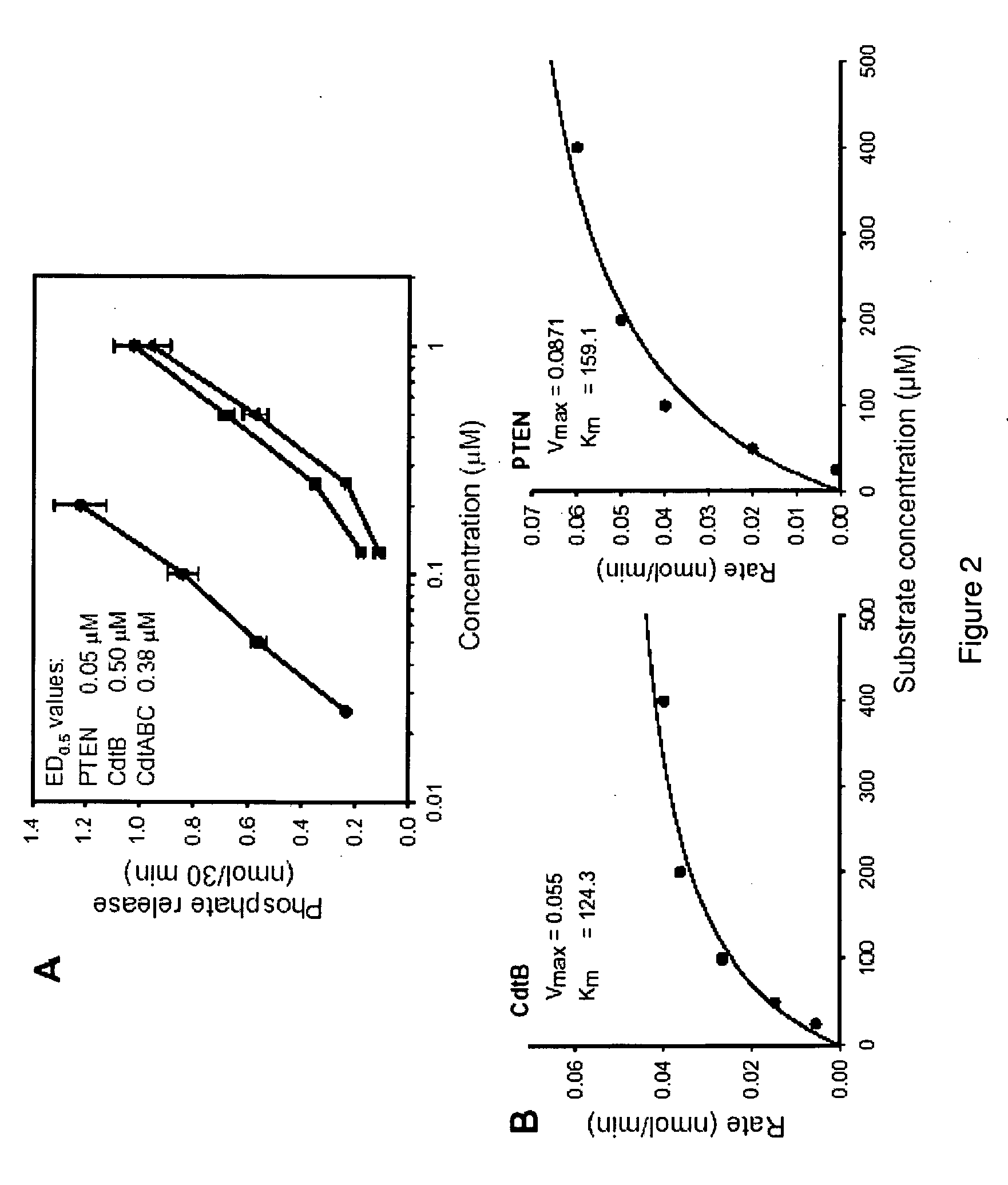 Cytolethal distending toxin, inhibition and use thereof
