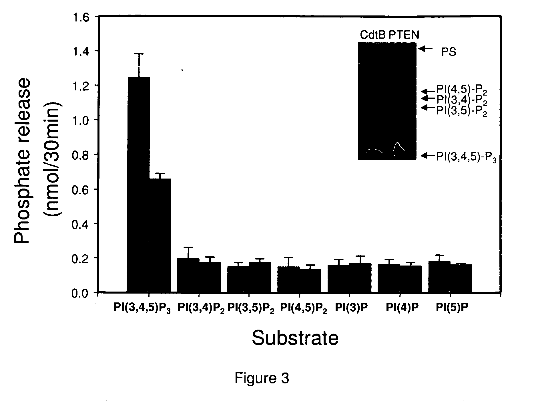 Cytolethal distending toxin, inhibition and use thereof